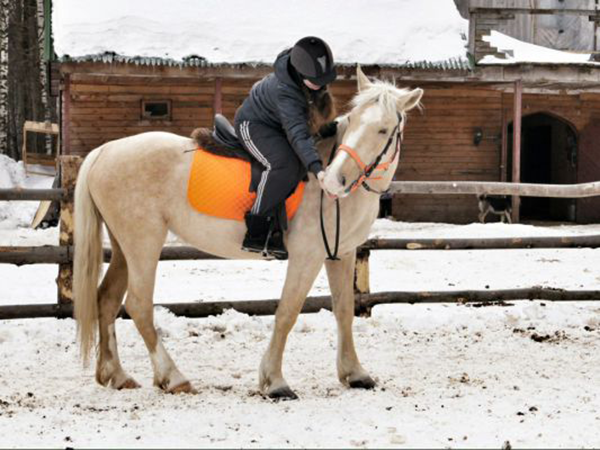 соловьиная роща