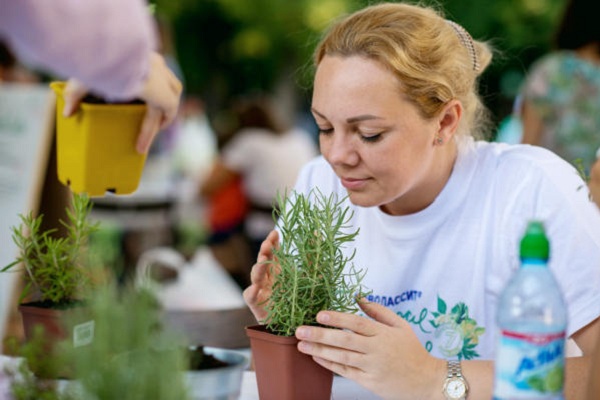 Фестиваль «Территория спокойствия» в музее-заповеднике «Царицыно»