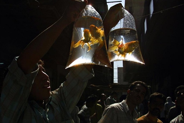 Фотовыставка «Как в кино» в дизайн-заводе «Флакон»