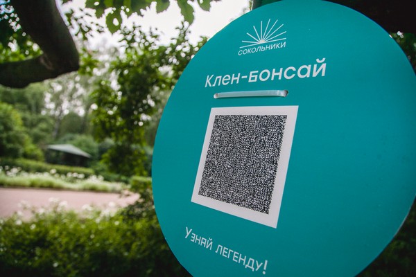 Таблички с QR-кодами помогут узнать легенды деревьев парка «Сокольники»
