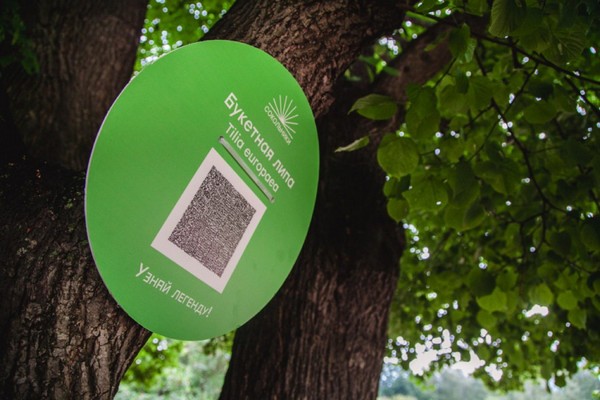 Таблички с QR-кодами помогут узнать легенды деревьев парка «Сокольники»