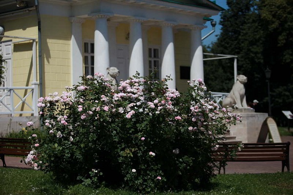 Царские цветники музея-заповедника «Коломенское»