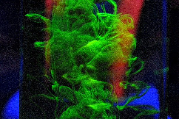 Фотовыставка «Экспериментаниум» в парке «Кузьминки»