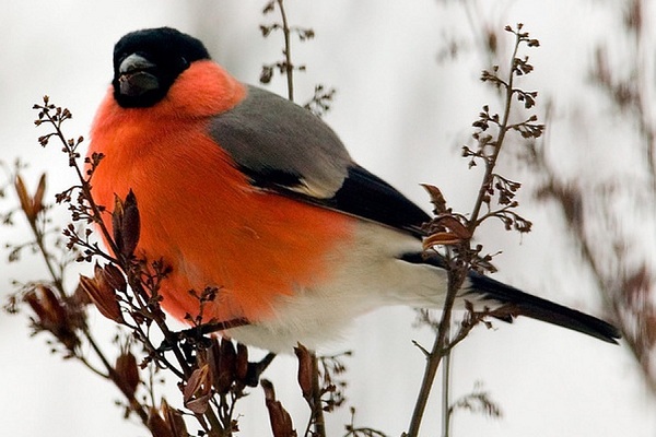 Фотовыставка «Зона свободного полета» в Галерее искусств Зураба Церетели