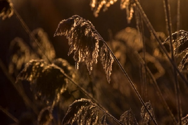 Фотовыставка «Зона свободного полета» в Галерее искусств Зураба Церетели