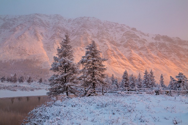 Фотовыставка «Куда приводят мечты» в Дарвиновском музее