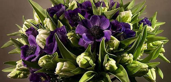 Профессиональные мастер-классы и курсы флористики в школе «Flora Style»: «Подарочная упаковка», «Свадебная флористика», «Флорист-декоратор» и другие