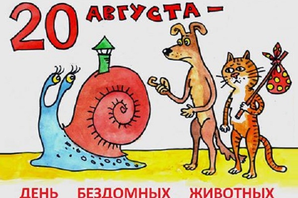 Выставка приютских кошек и собак «Домой!» в музее им. Тимирязева