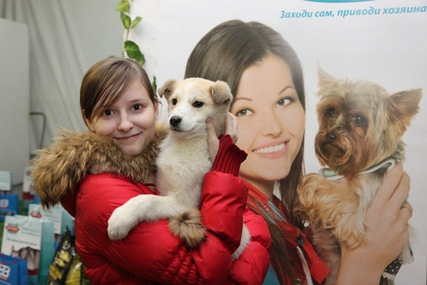 Выставка приютских кошек и собак «Домой!» в музее им. Тимирязева