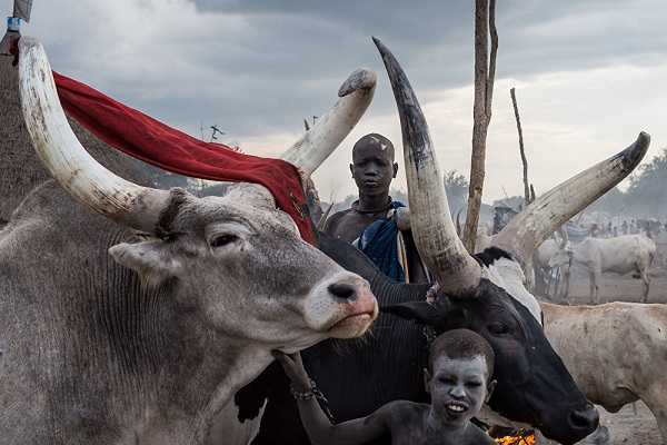 Фотовыставка победителей конкурса им. Андрея Стенина в Музее Москвы