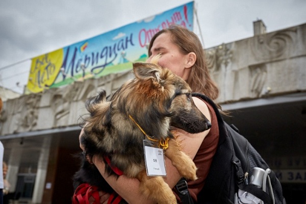 Выставка бездомных животных «Надо брать! Осенью»