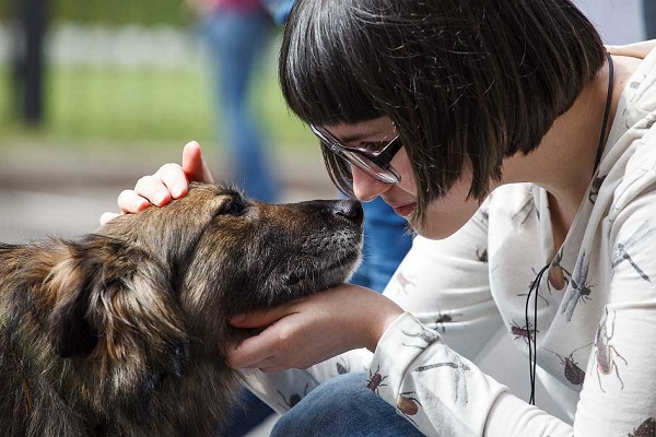 Благотворительный фестиваль «Woof–2016»