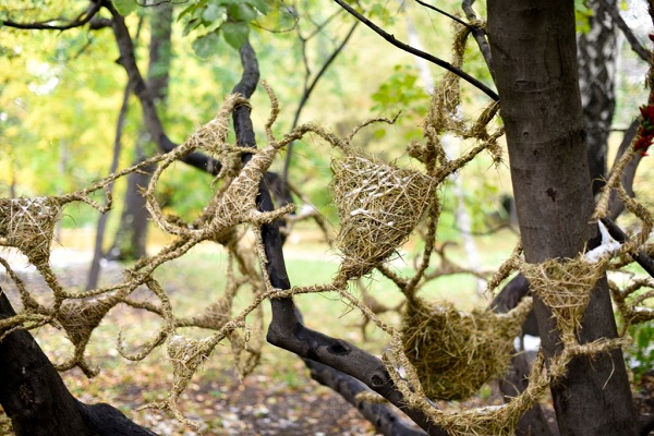 Выставка экстерьерных флористических объектов «Рождение формы»