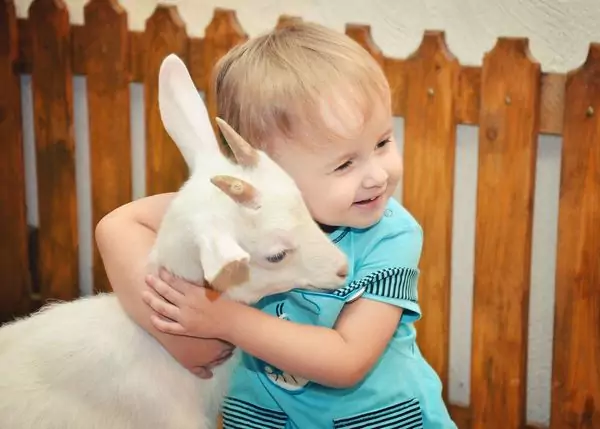 Контактные зоопарки Москвы