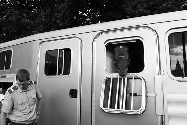 Фотовыставка «Маски города: город без масок»