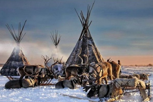 Фотовыставка под открытым небом «Советы северян»