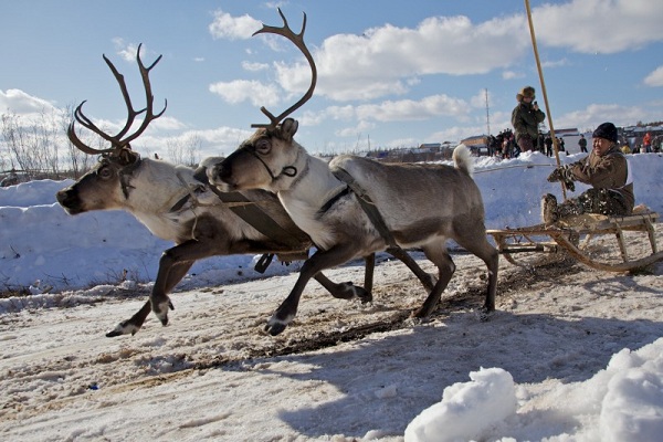 Фотовыставка под открытым небом «Советы северян»