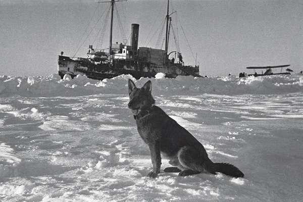 Фотовыставка «Покорение. Наследник авангарда Яков Халип»