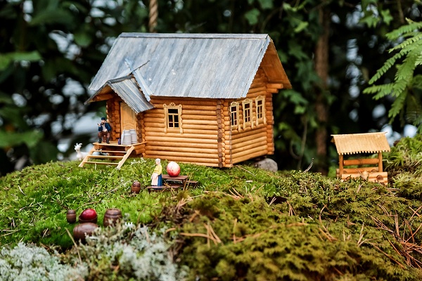 Выставка «Мхи, лишайники и азалии»