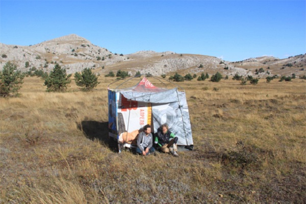 Выставка «Оттепель»