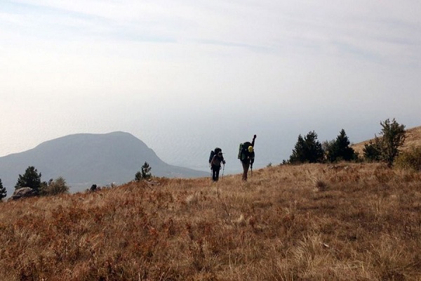 Выставка «Оттепель»