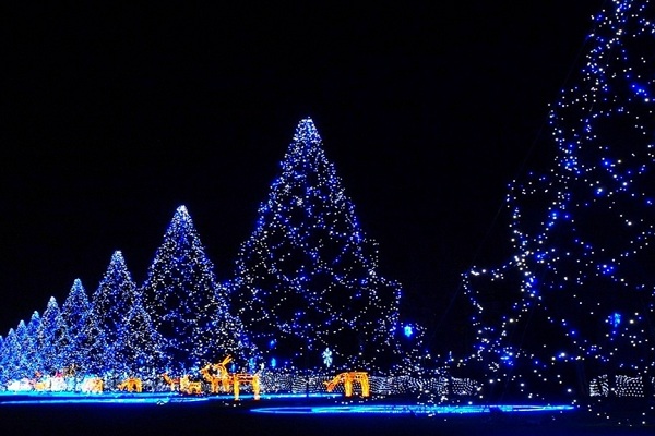 Площадки фестиваля «Путешествие в Рождество»