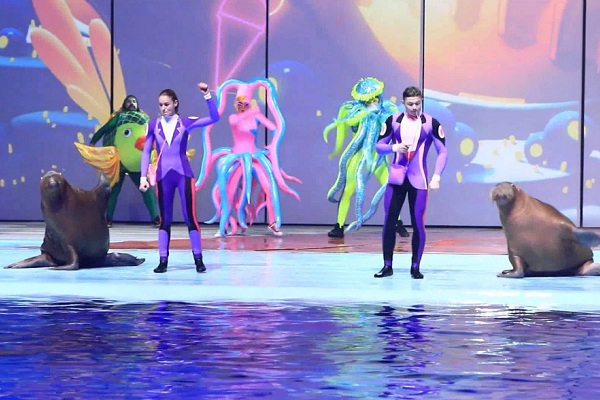 Новогоднее шоу «Затерянный мир»