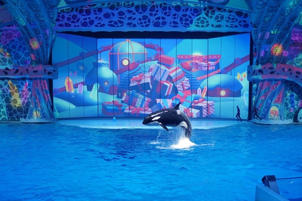 Новогоднее шоу «Затерянный мир»