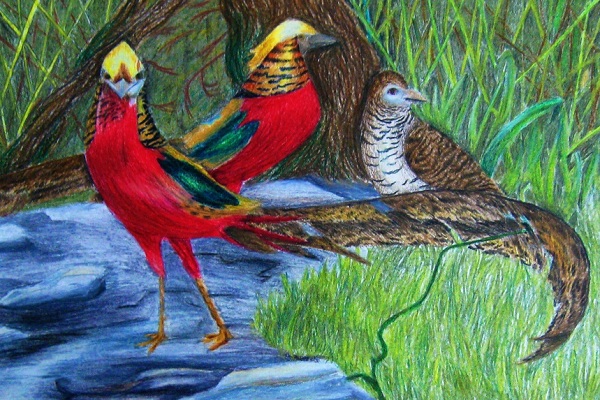 Выставка детских работ студии творческого самовыражения «Мой мир»