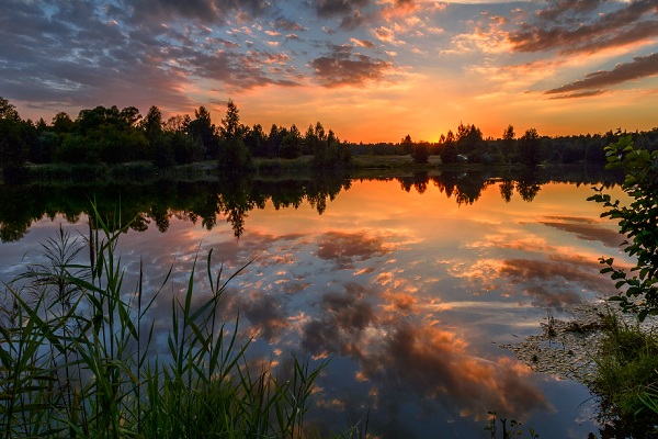 Фотовыставка «Best of Russia – 2016»