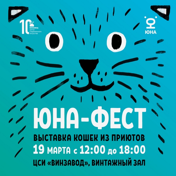 Центр реабилитации животных «Юна» проведет выставку кошек из приютов на территории Винзавода