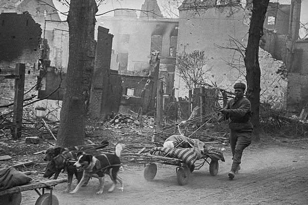 Фотовыставка «Валерий Фаминский Май 45-го Берлин тчк»