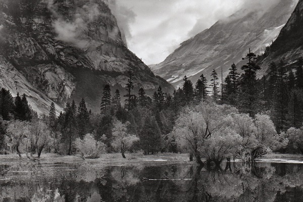 Фотовыставка «Почему природа?»