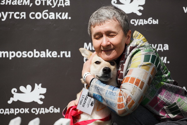 Выставка собак из приютов «#Всемпособаке» в парке «Новодевичьи пруды»
