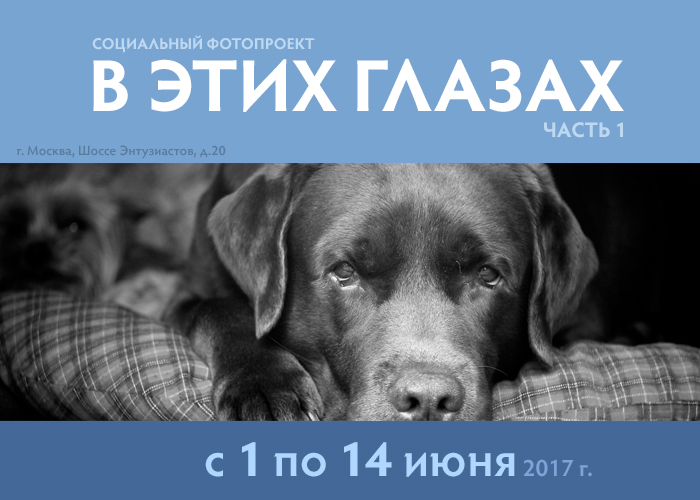 Выставка фотографии «В этих глазах»