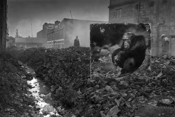 Фотовыставка «Унаследовать пыль»