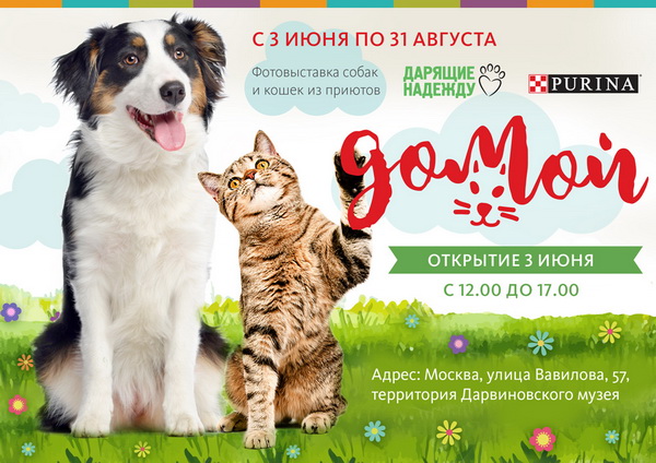 Фотовыставка «Домой!»