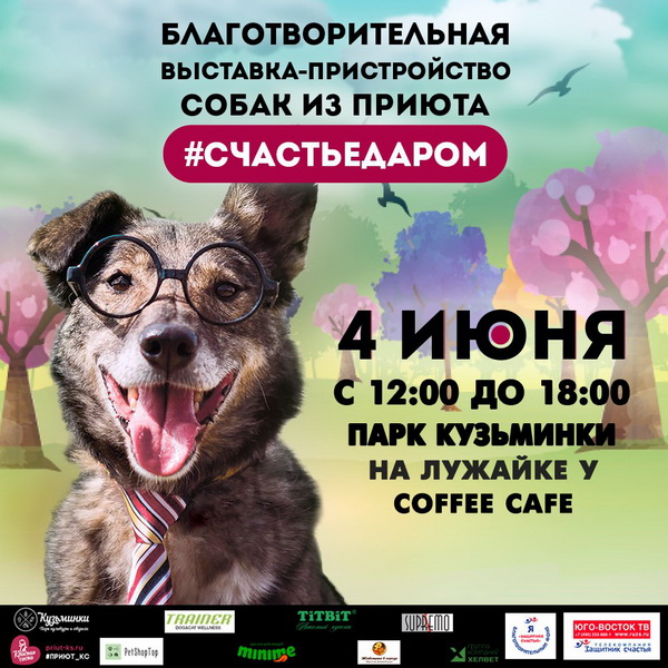 Выставка собак #СЧАСТЬЕДАРОМ