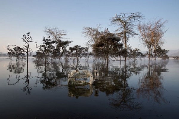 Фотовыставка Анны де Карбуччиа «Одна планета – общее будущее»