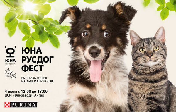 Выставка кошек и собак из приютов «Юна-РусДог Фест»