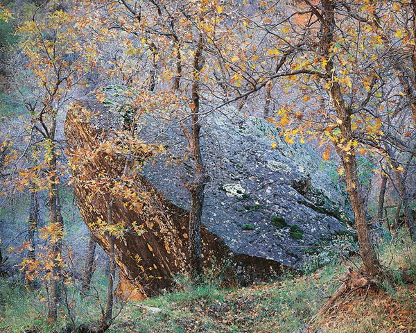 Выставка пейзажей Кристофера Беркетта в Галерее Классической Фотографии