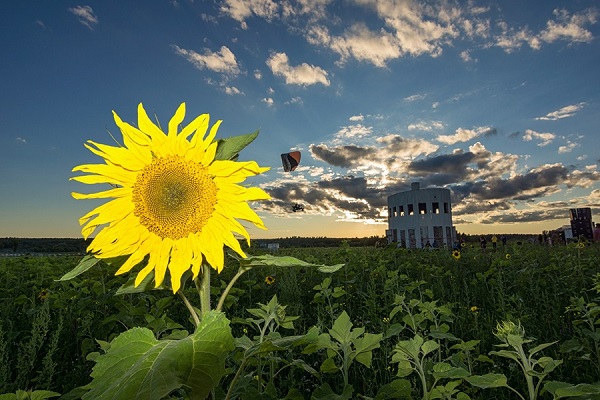 Фестиваль «Архстояние»