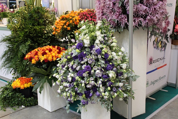 Международная выставка «Цветы/Flowers-2017»