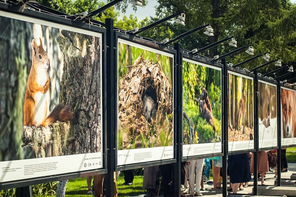 Фотовыставка под открытым небом «Лес — наш дом»