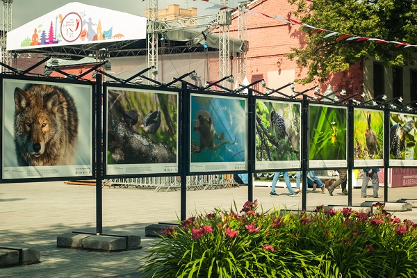 Фотовыставка под открытым небом «Лес — наш дом»