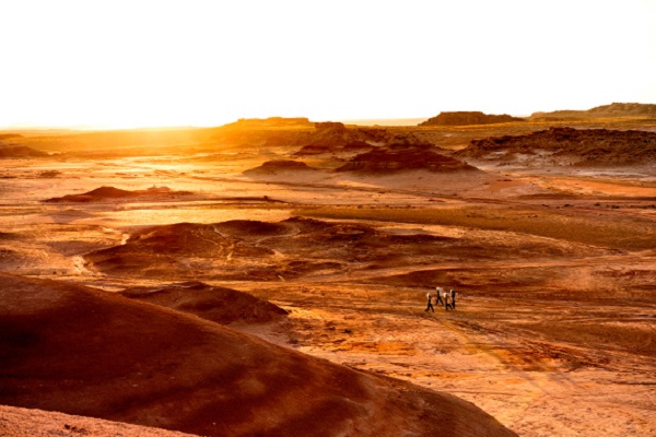 Фотовыставка «Просто космос»