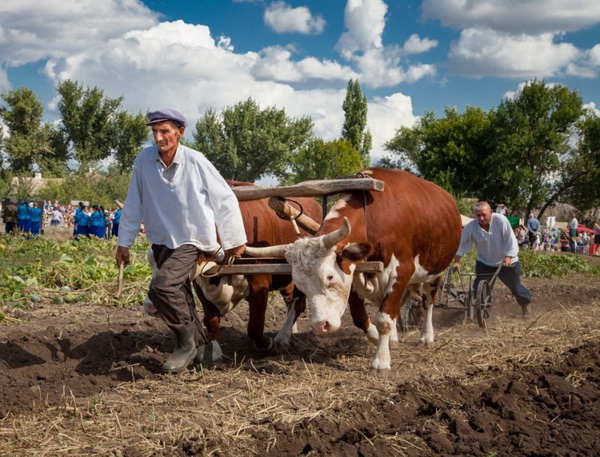 Фотовыставка лучших работ конкурса «Путешествуя – помогай!»