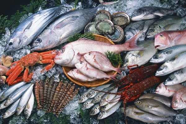 Фестиваль «Ешь Рыбу!»