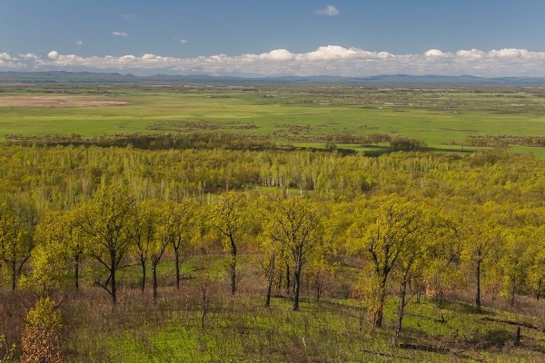 Фотовыставка под открытым небом «Хинганский заповедник»