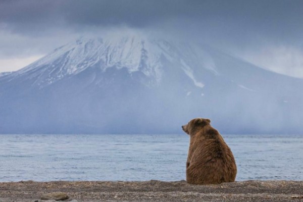 Фотовыставка National Geographic Россия «Планета контрастов»
